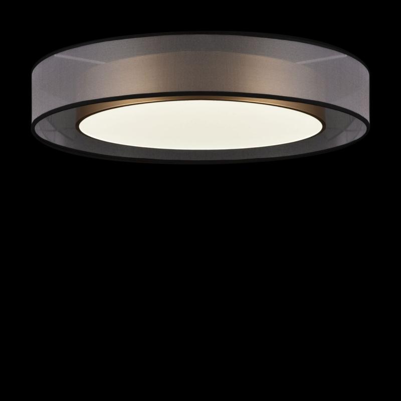 Потолочный светильник Freya Zoticus FR6005CL-L48G
