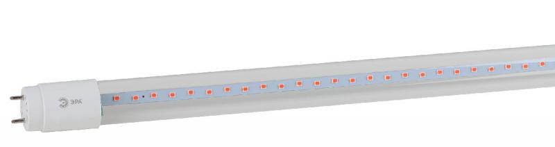 Фитолампа для растений Эра FITO-18W-RB-Т8-G13-NL Б0042990