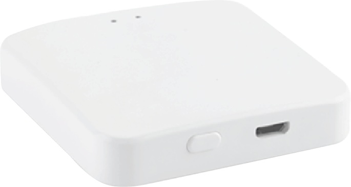 Шлюз SLIM R-GW-WF-ZGBT