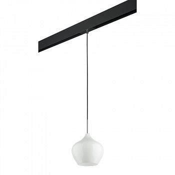 Трековый светильник Lightstar Pentola PRO803040 (803040+595007)